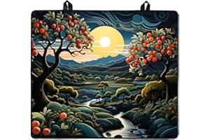 KitchenRaku Stove Cover,Stove Top Covers for Electric Stove, Ceramic Glass Cooktop Protector, Electric Stove Cover, Glass Top Stove Cover (20.4x30.7 IN, Black e)