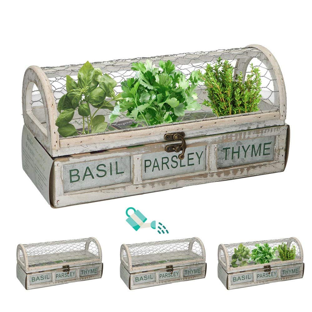 Caja de semillas 30x12,5x15cm con perejil, albahaca y tomillo ...