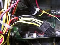 Review Image by Graylyn Tamashiro