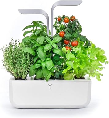 Véritable Smart Edition - Jardín hidropónico de Hierbas (Incluye 4 ...