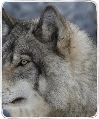 Amazon.com: K2 Harmony of Wolves Korean Mink Blanket, Queen: Home & Kitchen