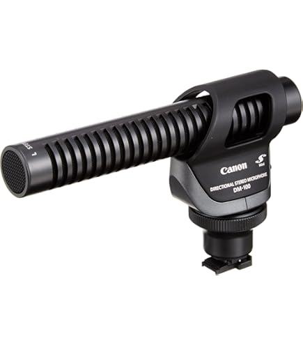 Amazon.com : Canon SM-V1 5.1 Channel Surround Microphone for