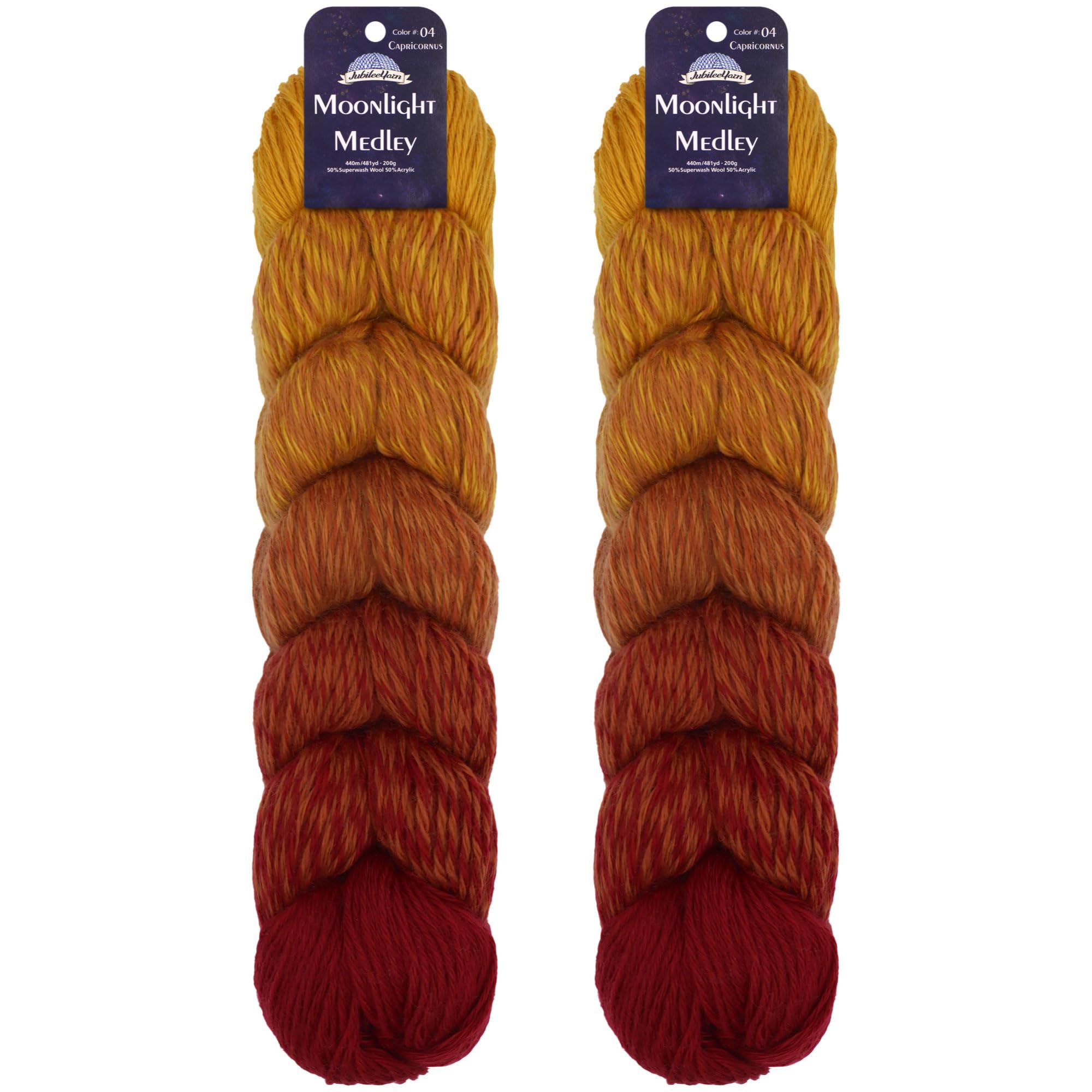 JubileeYarn Moonlight Medley Yarn - Ombre DK Weight Merino Wool/Acrylic - 200g/Hank - Leo - 2 Skeins