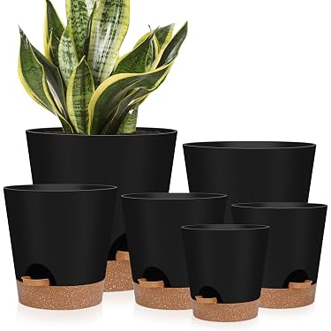 potted plant supports Golden Plant Stakes – Modern Trellis Support