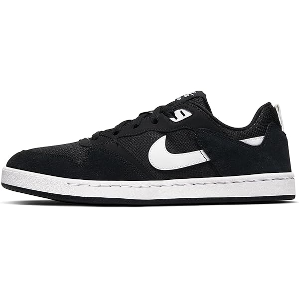 shoes similar to nike sb