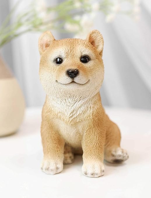 shiba pedigree