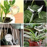 Heiqlay Plant Watering Devices 6 Pack Self Watering Globes Two Sizes view 4
