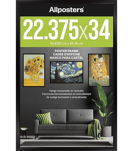 Amazon.com - Poster Frame - Black (22.375