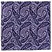 Retreez 5 Piece Assorted Woven Microfiber Premium Pocket Square Gift Box Set - Set 015