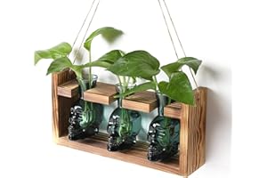 YYHGLASS Plant Terrarium Propagation Stations Hydroponics Halloween Skull Planter Vase Skulls Decor with Wooden Stand Gife for Father