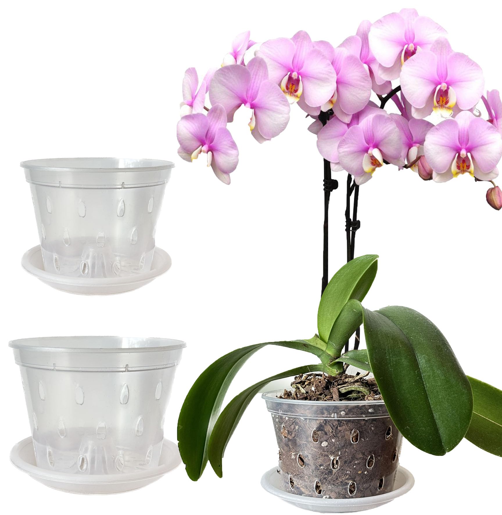 Mesoar 14cm 17cm Orchid Pots,Clear Plastic Orchid Pots with Holes and Saucers for Plants Flower Nursery Pots for Orchid Repotting Indoor and Outdoor Use (6, 3 each of 14cm,17cm with Sacuers)