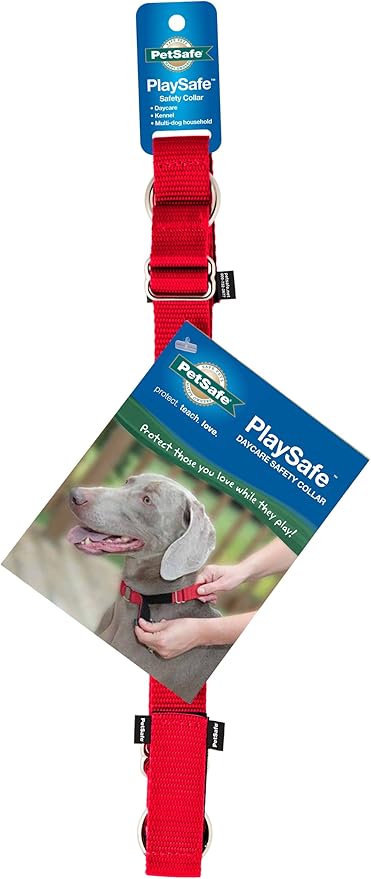 funny great dane pictures