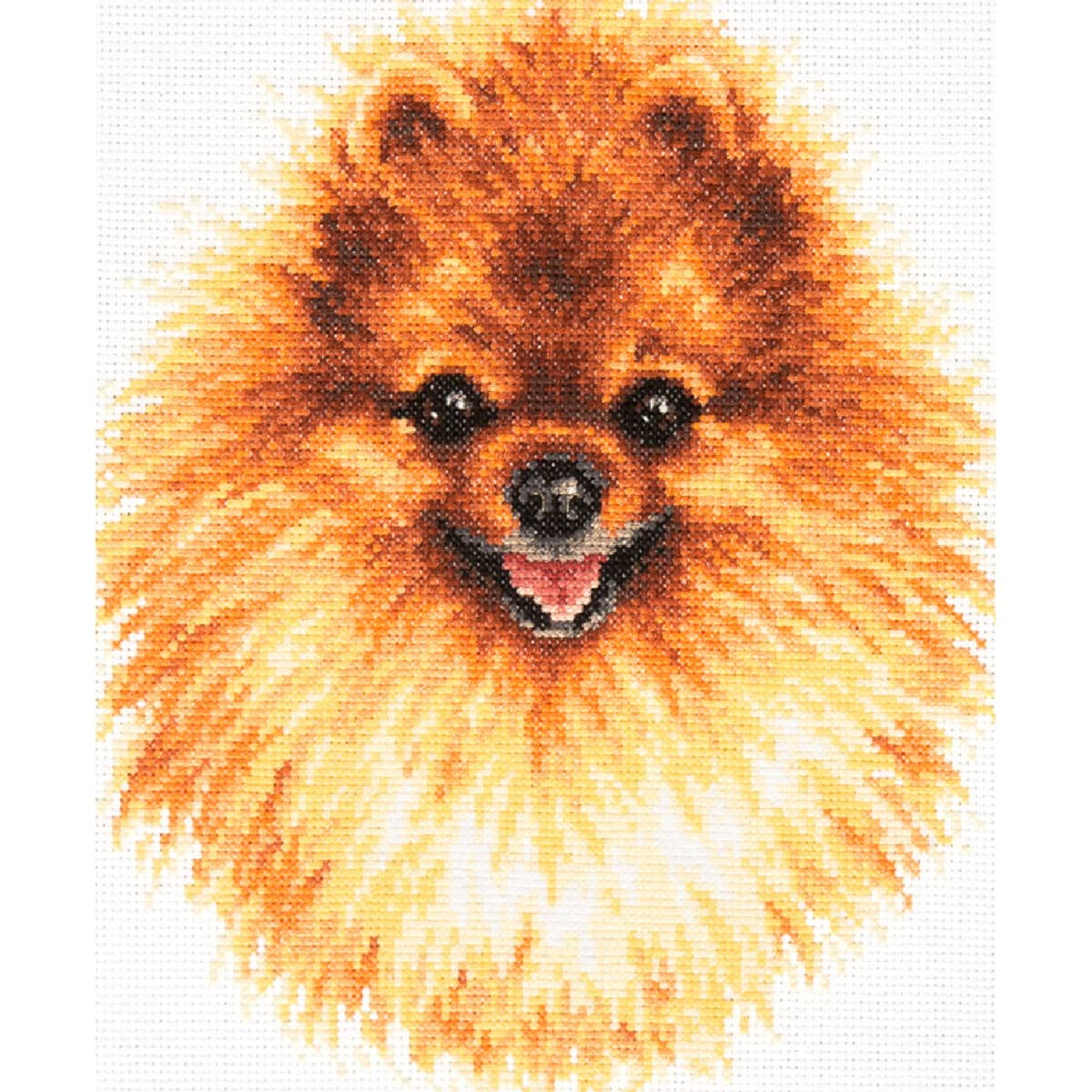 Magic needle 59-22 ZW Pomerschen Counted Cross Stitch Kit with Zweigart Edition Cotton Multi-Coloured 22 x 25 cm