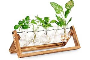 Foosibo Propagation Stations, Air Plant Terrarium Bulb Vase with Wooden Stand, Plant Propagation Station for Indoor Hydroponi