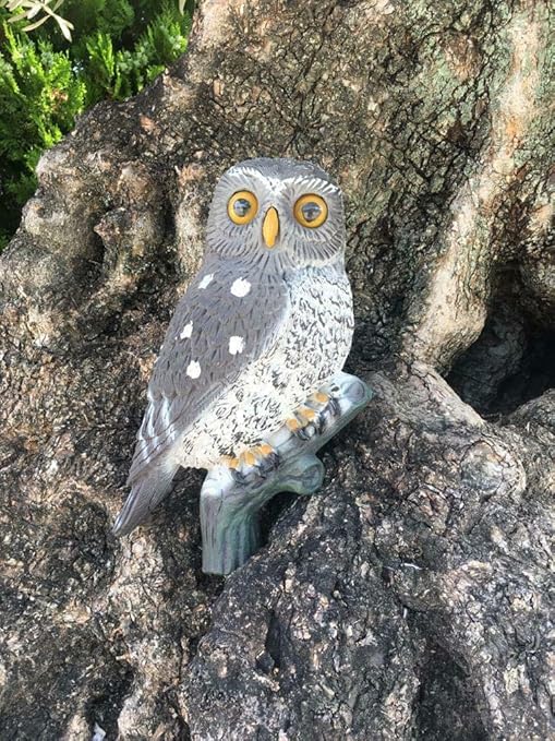 Civetta Posata Gufo Uccello In Plastica Ornamenti Per Giardino E Laghetto Amazon It Giardino E Giardinaggio