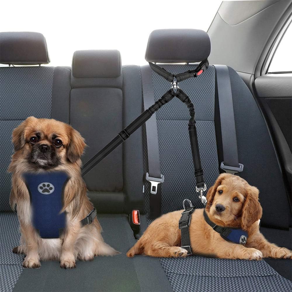 Double dog car seat belt Outlet