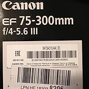 Canon EF-S 55-250 mm f/4-5.6 IS STM: Canon: Amazon.es: Electrónica