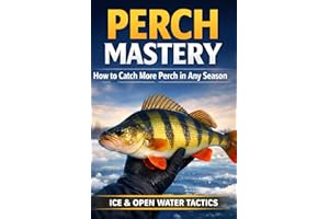 Perch Mastery: How to Catch More Perch in Any Season (Ice & Open Water Tactics)