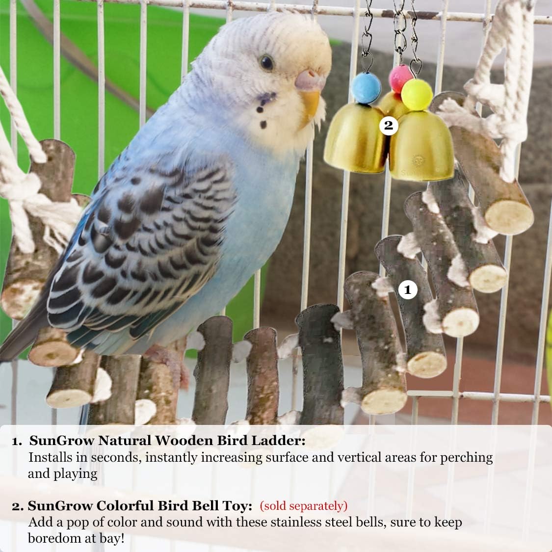 SunGrow Bird Wooden Ladder Bridge, 14-inches Long, Made with Raw Wood and Edible Dye, Easy Installation, Ideal for Small to Medium Birds : Pet Supplies