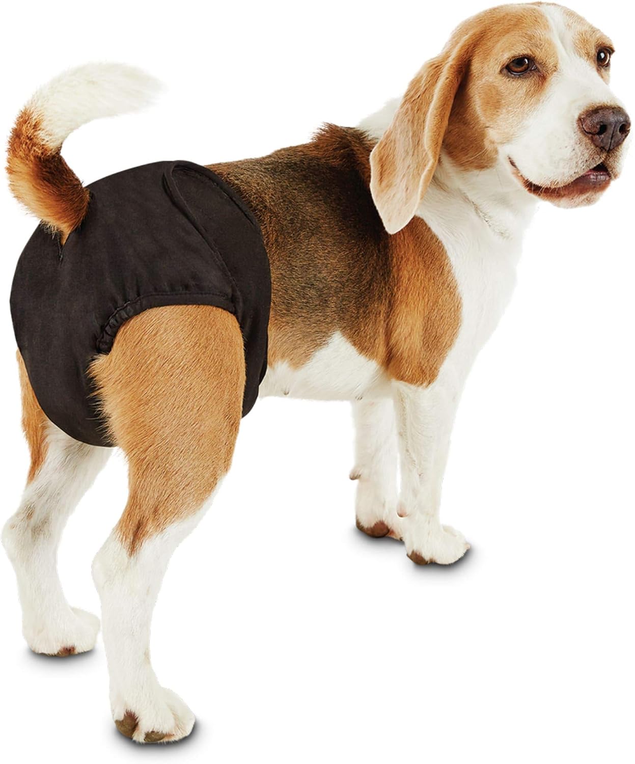 topical antibiotics for dogs