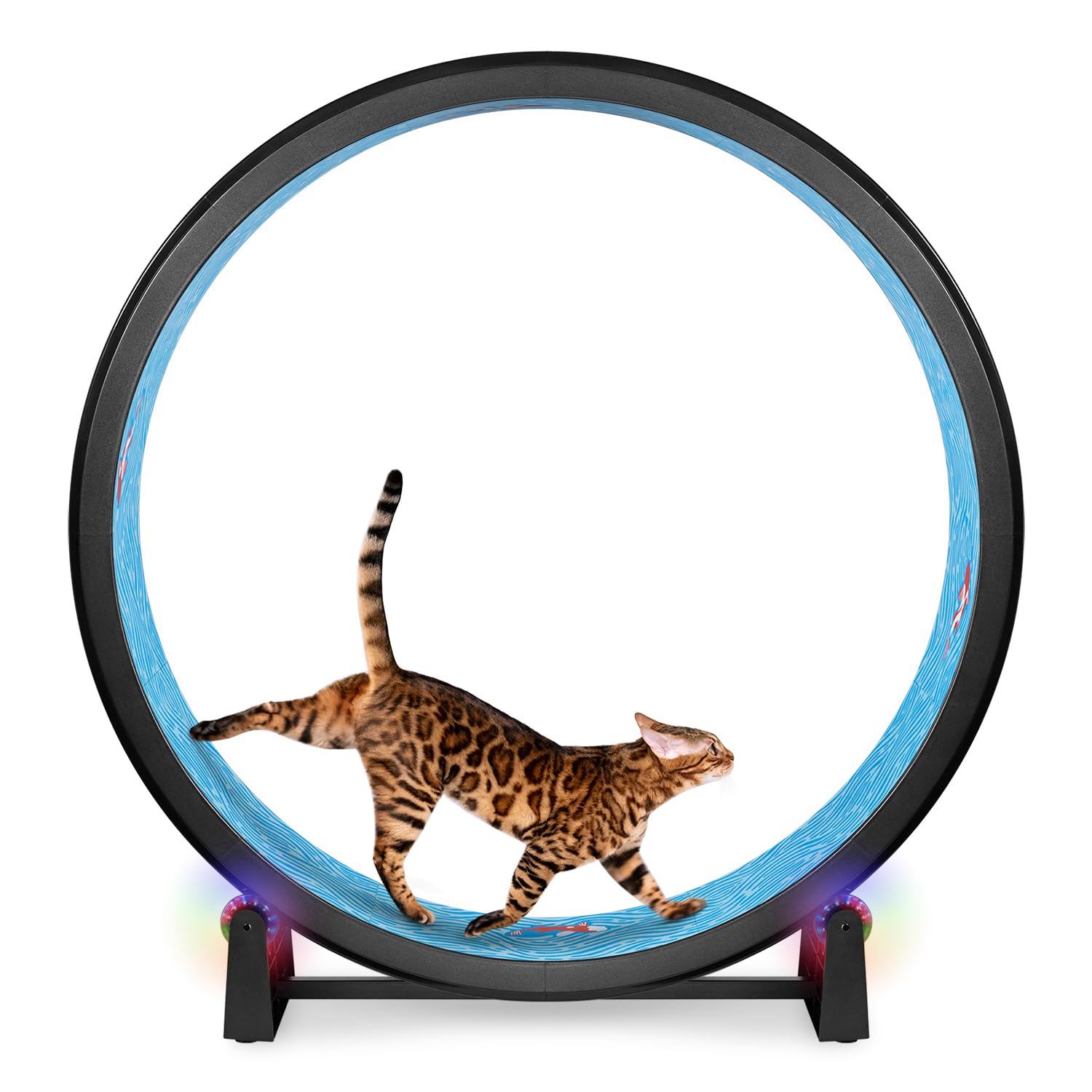 One Fast Cat - Cat Exercise Wheel - Gen. 7 - Safe