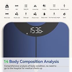anyloop Smart Scale for Body Weight and Fat