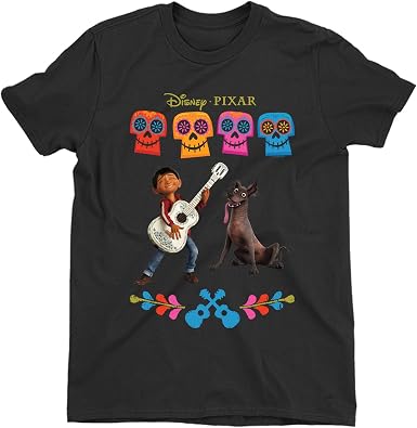 suneducationgroup.com Disney Pixar Coco 