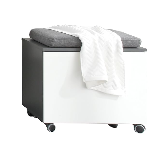 trendteam smart living Badezimmer Sitzcontainer Beach, 55 x 47 x 34 cm in Korpus Grau Melamin, Front Weiß Hochglanz
