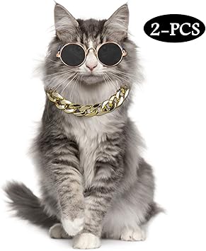 gafas de sol para gatos