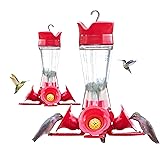 Perky-Pet 203CPBN-2 Glass Hummingbird Feeders for