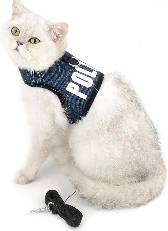 Harnais Chat Tunisie