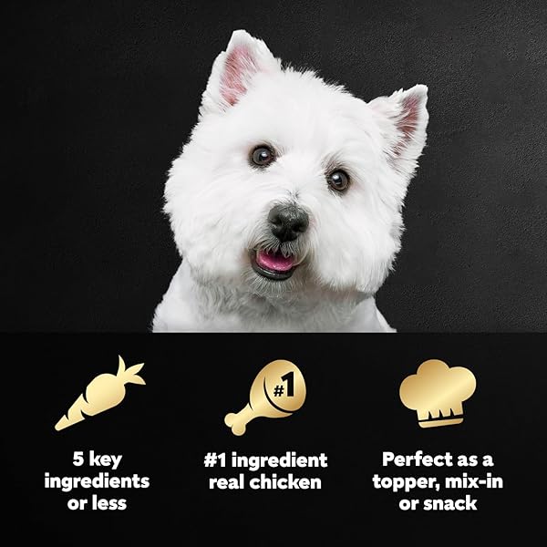 CESAR SIMPLY CRAFTED WET DOG FOOD TOPPERS FOR DRY FOOD, CHICKEN, CARROTS, POTATOES & PEAS AND CHICKEN, SWEET POTATO, APPLE, BARLEY & SPINACH MEAL TOPPER VARIETY PACK, 1.3 OZ. TUBS, 8 COUNT