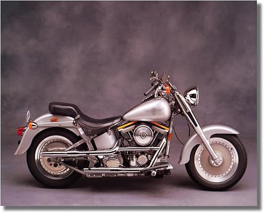 harley davidson fatboy chopper