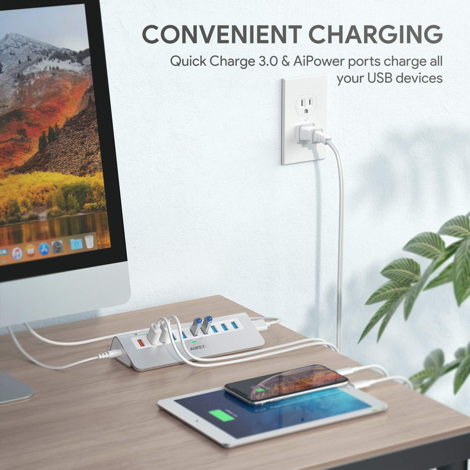 AUKEY Powered USB Hub, Aluminum 10-Port USB 3.0 Hub with 1 Quick Charge 3.0 Port, 2 AiPower Charging Ports, 7 USB 3.0 Data Ports, 12V/4A Power Adapter Compatible with Laptops, Phones, and More: Computers & Accessories