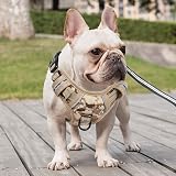 HEELE Dog Harness No Pull Camouflage Small Release Front Back Clips view 5