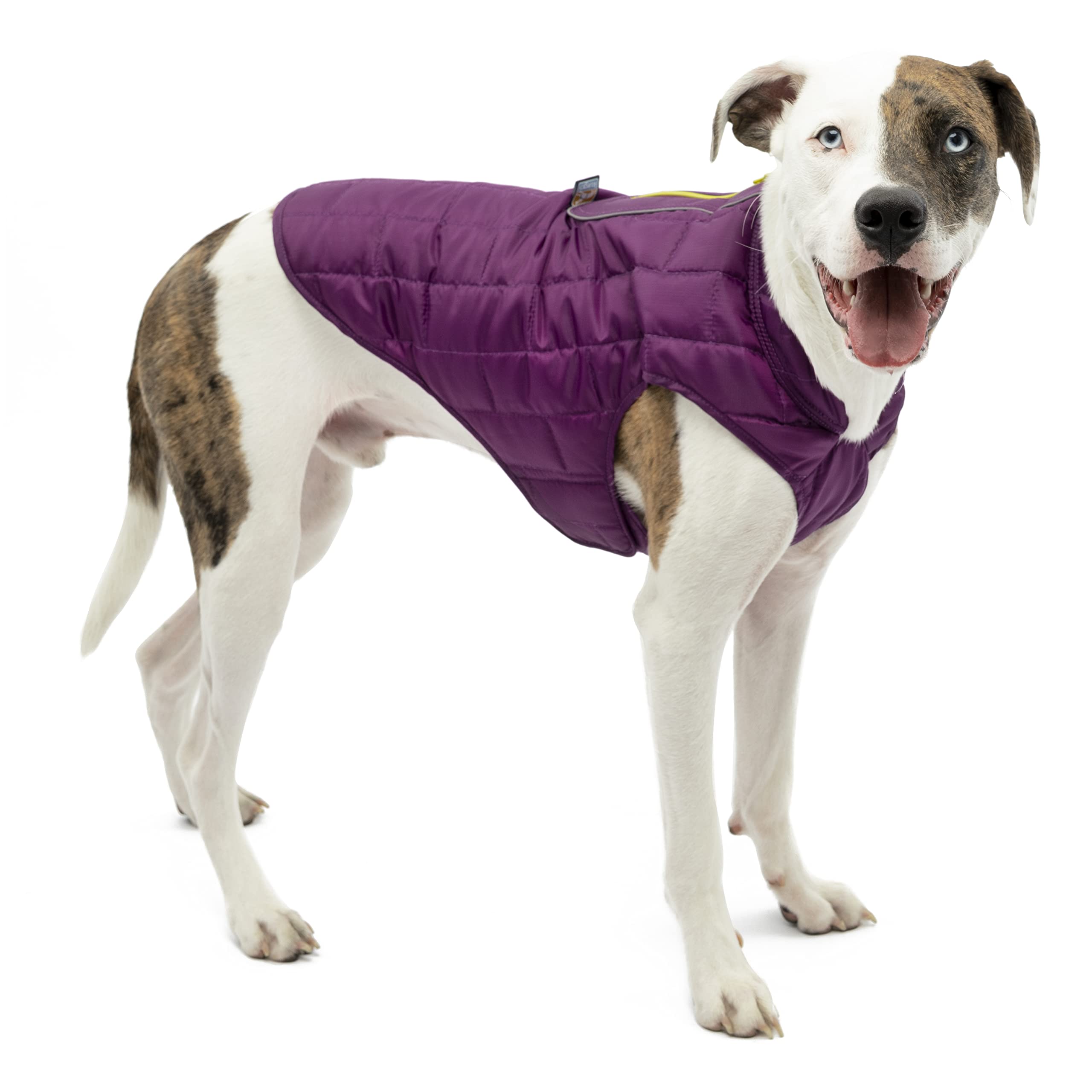 Kurgo Loft Dog Jacket, Reversible Dog Coat for Cold Weather, Purple/Grey, X-Small