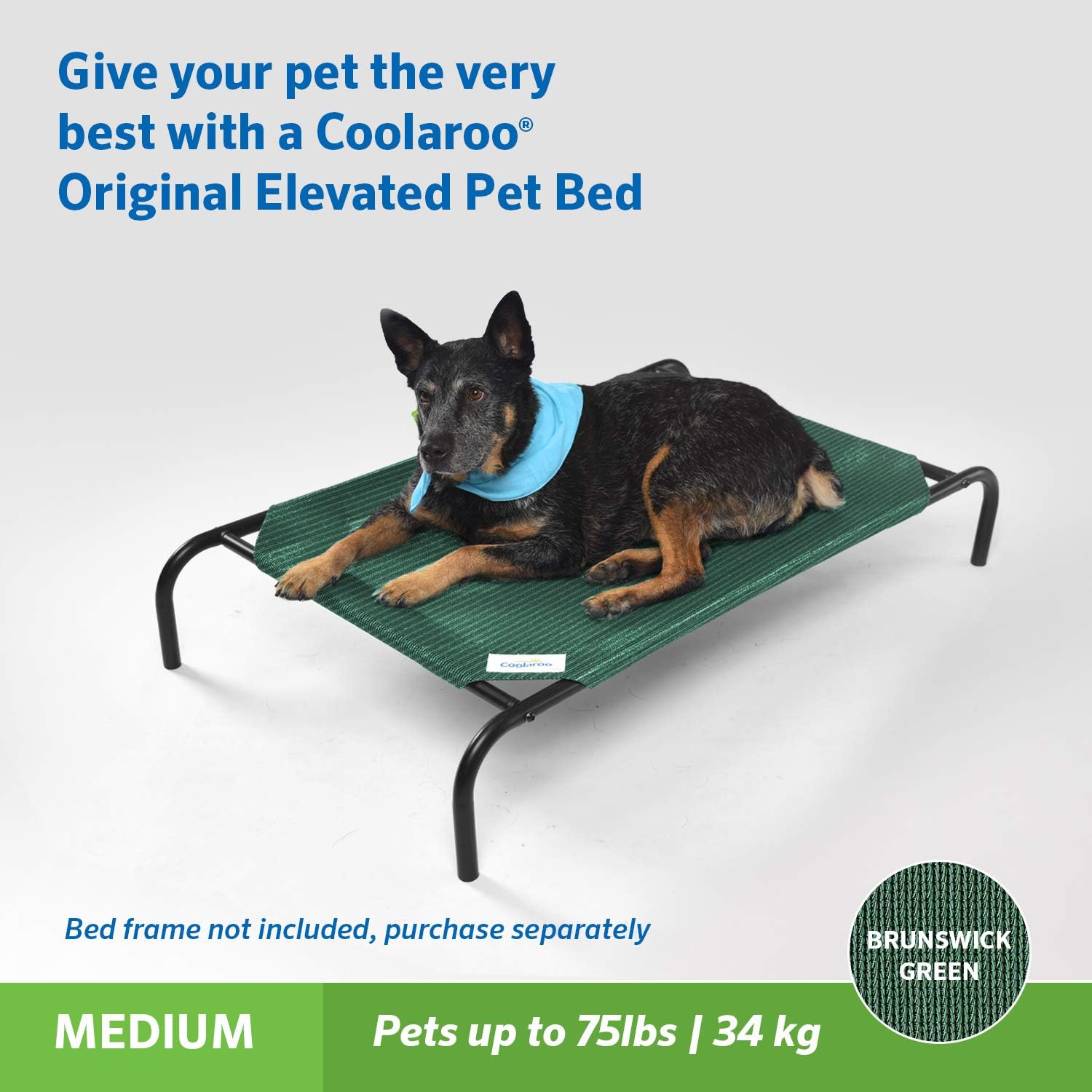 Coolaroo Replacement Cover, The Original Elevated Pet Bed by Coolaroo, Medium, Brunswick Green : Cooleroo Bed Replacement : Pet Supplies