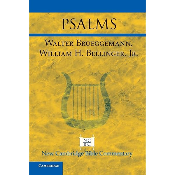 アキバぬこ EXODUS 英語版25パックセット Exodus (3Q 2025 Bible Bookshelf)