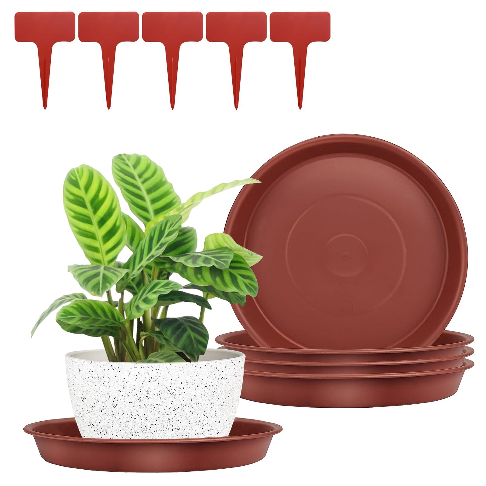 FANWINKJ Plant Pot Saucers Set of 5 with Labels, Heavy Duty Plastic Plant Trays, Water Drip Catcher for Indoor & Outdoor Pots, Multiple Sizes & Colours (Red 250)