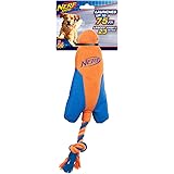 nerf duck flyer