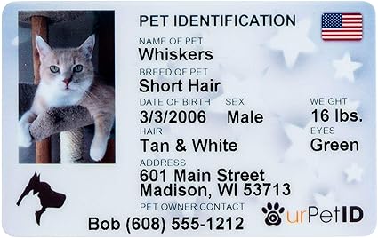 Secure ID Pet ID Card with Key Tags Pet 