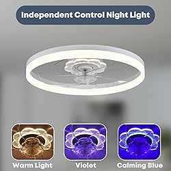 Fszdorj 20‘’ Ceiling Fan with Light, Upgraded