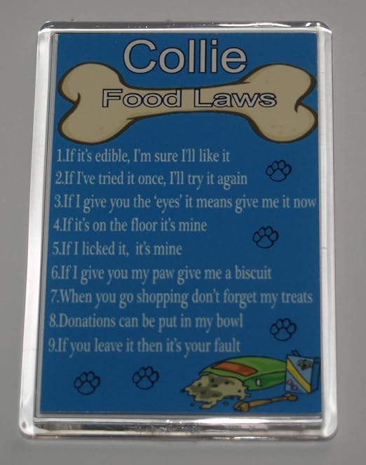 Las leyes de los alimentos de perro/reglas Collie imán divertido ...