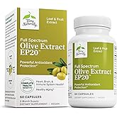 Terry Naturally Olive Extract EP20 - Brain Health Support Supplement with Olive Leaf Extract - Herbal Supplement to Aid Healthy Immune System Function - 60 Capsules (60 Servings)