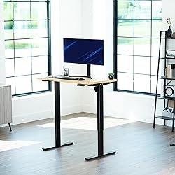 VIVO Electric 43 x 24 in Standing Desk, Memory