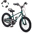 RoyalBaby Kids Bike EZ Balance to Pedal Dual Handbrake Toddlers Boys Girls Bicycle 12-20 Inch for Age 3-10 Years