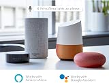 HBN WiFi Smart Wall Timer Switch 16A Works with Alexa Google without Hub view 8