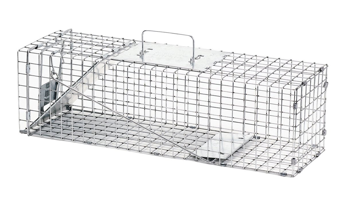 9 Best Rabbit Traps (Must Read Reviews) For June 2024