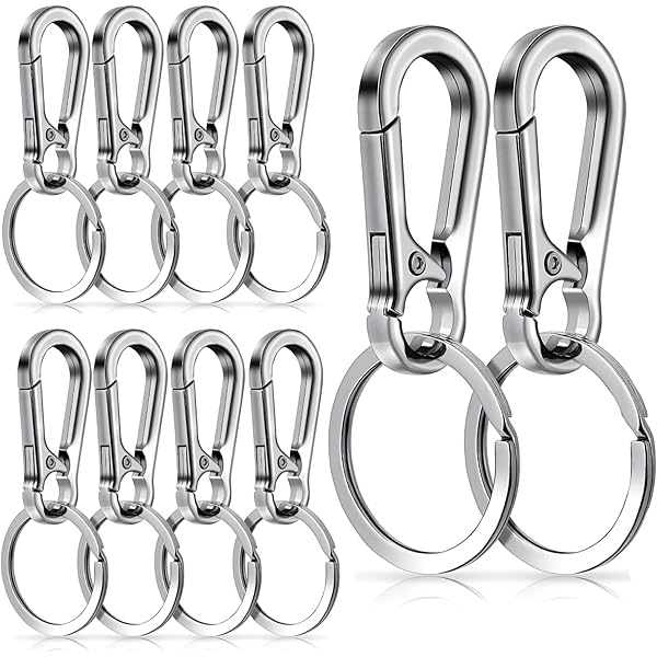 Amazon.com: Amaxiu Heavy Duty Carabiner Keychain, Zinc Alloy