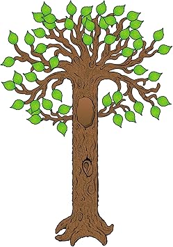 Amazon Com Carson Dellosa Big Tree Bulletin Board Set
